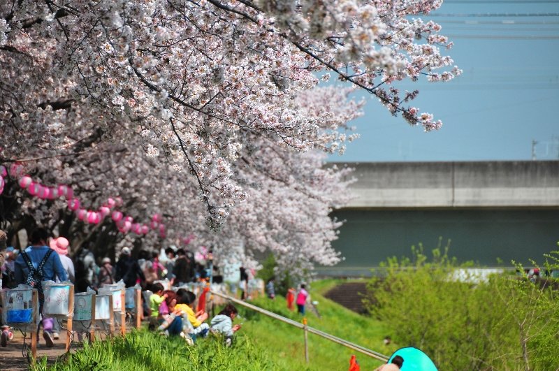 春には「桜まつり」も行われる黒目川沿いの様子