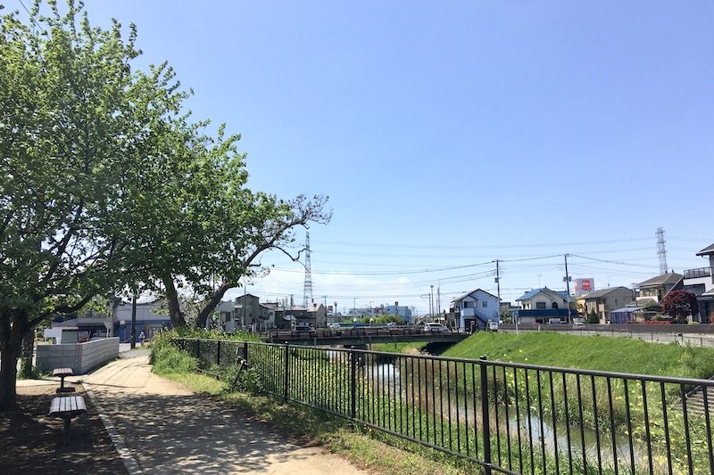 古隅田川沿いの遊歩道