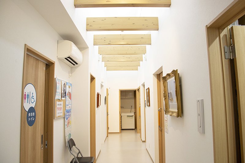 自然光が入る明るい診察室の廊下