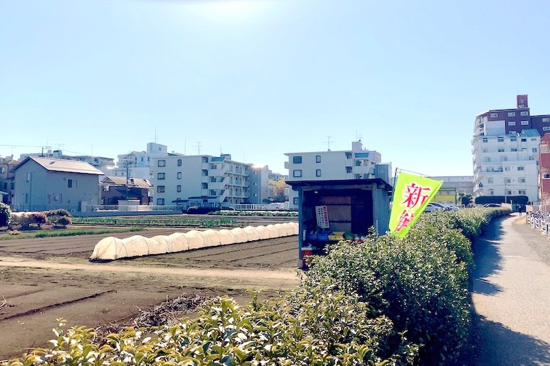 田園風景が残る「南大塚」駅周辺の街並み