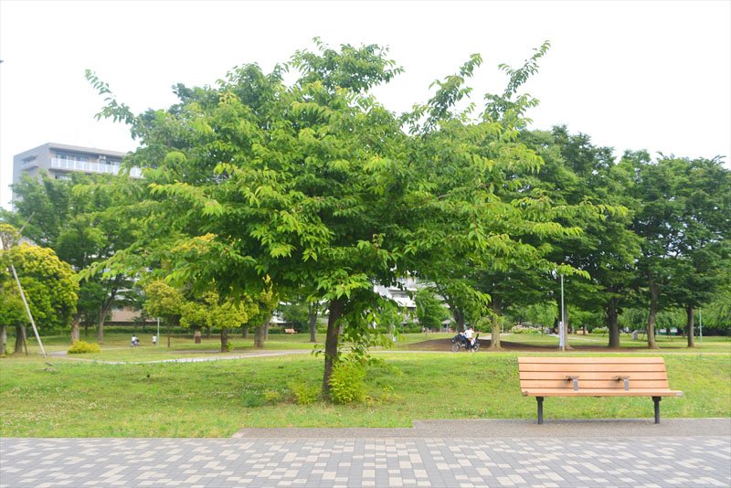 「福岡中央公園」