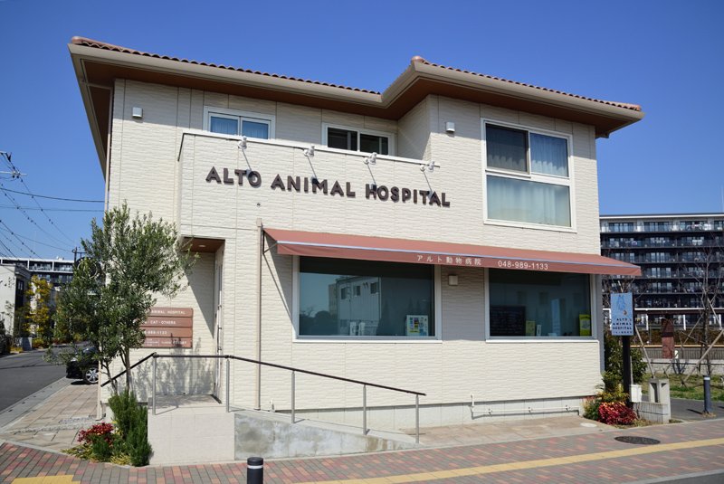 アルト動物病院