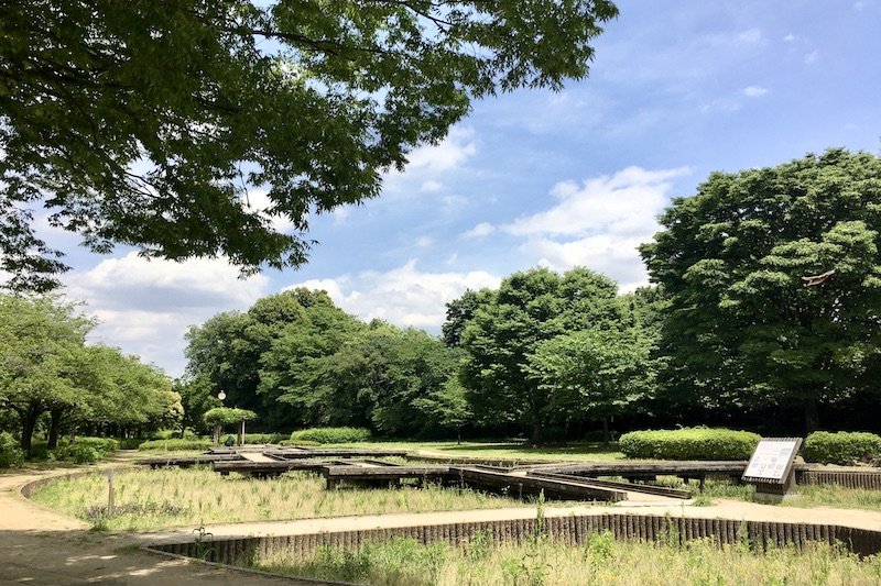 「山崎公園」の菖蒲田