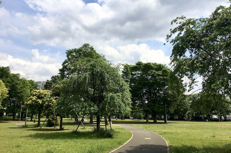 周辺に公共施設が集まる「上福岡中央公園」