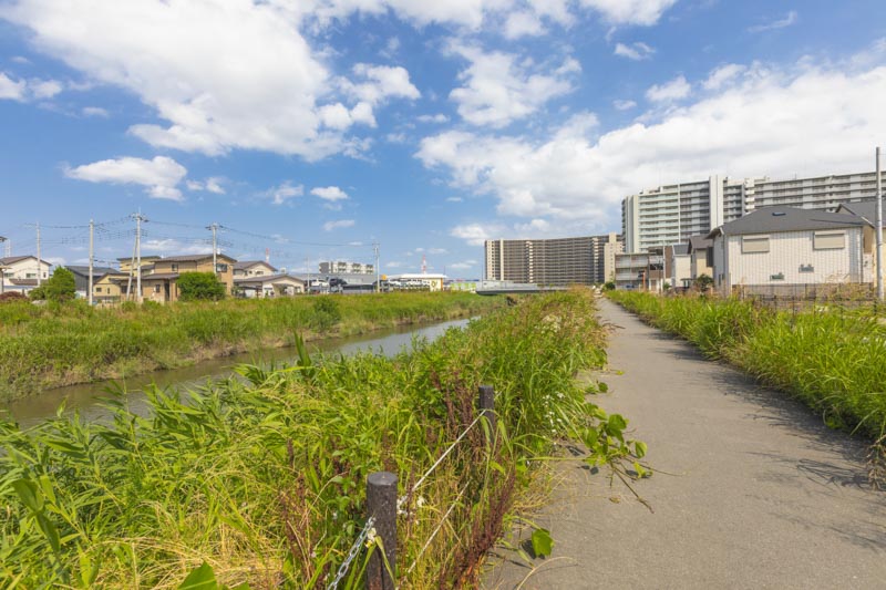 水辺の散策を楽しめる綾瀬川沿いの遊歩道